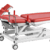 Gynecological Examination Table GETE5