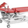 Gynecological Examination Table GETE5