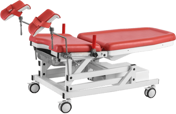 Gynecological Examination Table GETE5